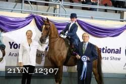 21YN_12307 thumbnail