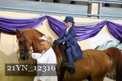 21YN_12316 thumbnail