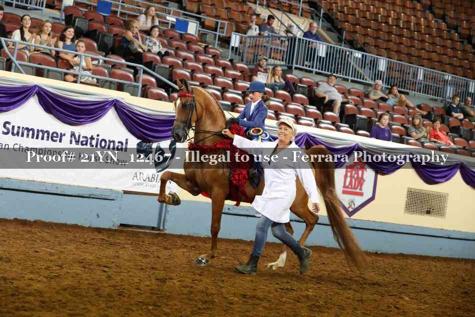 Proof Number 21YN_12467