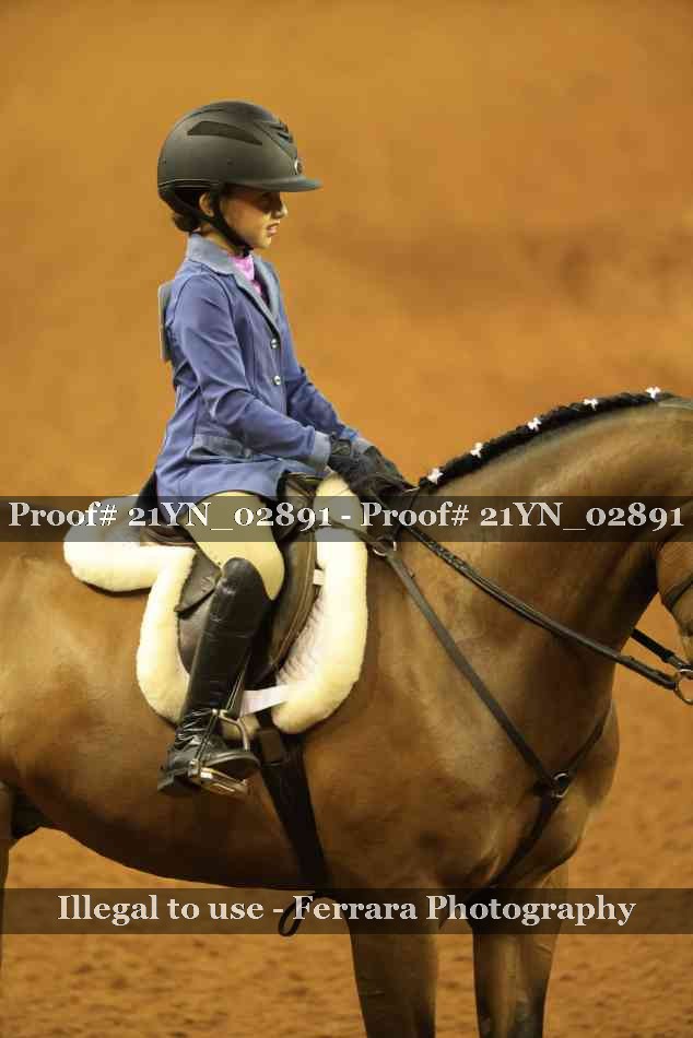 Proof Number 21YN_02891