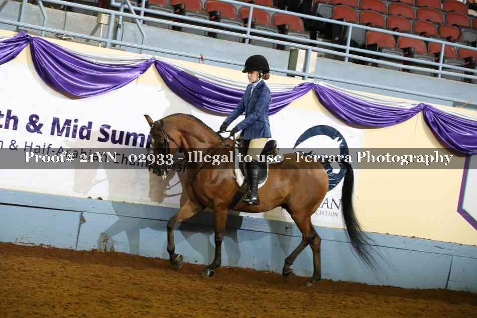 Proof Number 21YN_02933