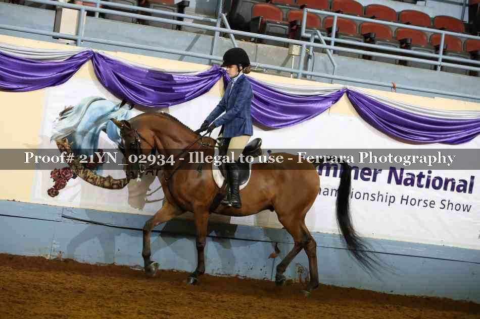 Proof Number 21YN_02934