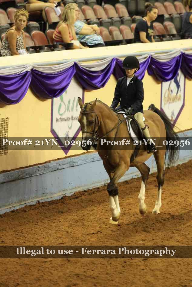 Proof Number 21YN_02956