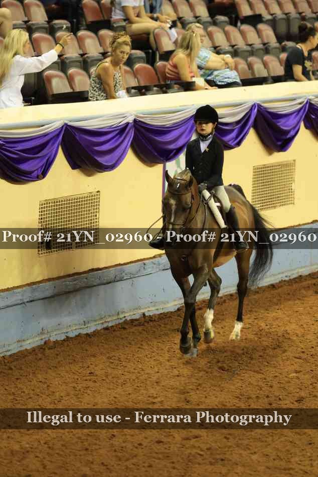 Proof Number 21YN_02960