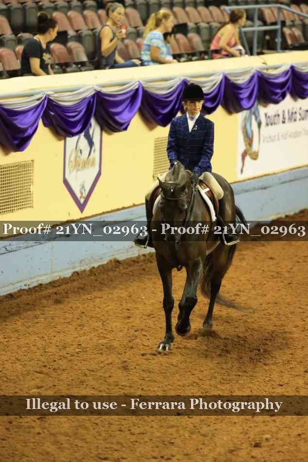 Proof Number 21YN_02963