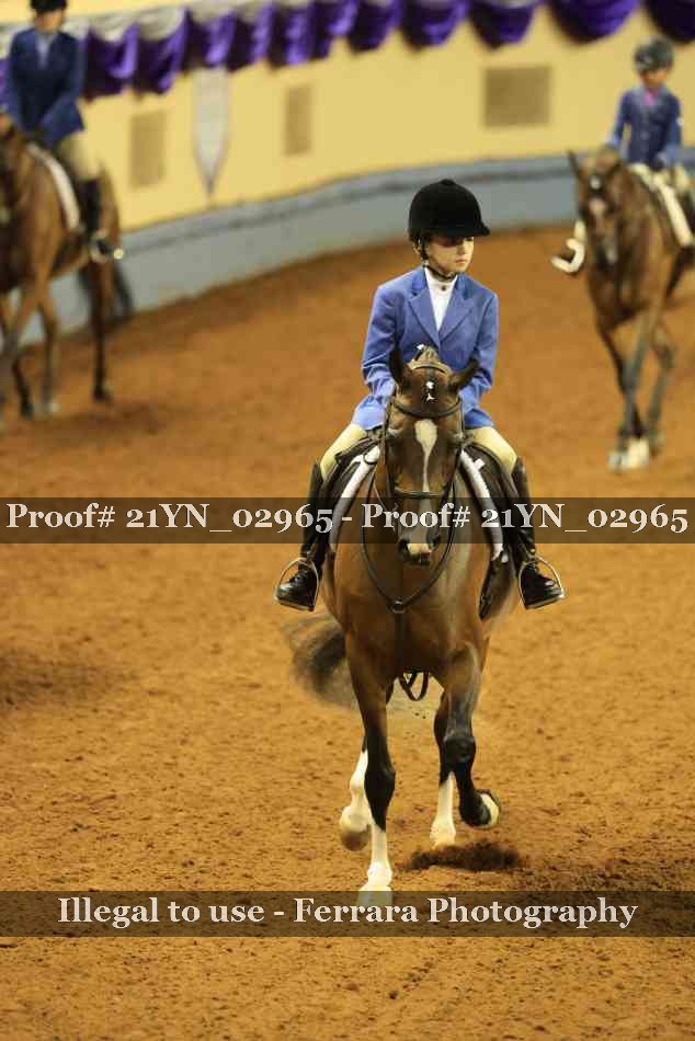 Proof Number 21YN_02965