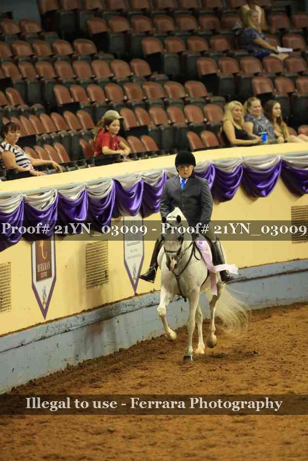 Proof Number 21YN_03009