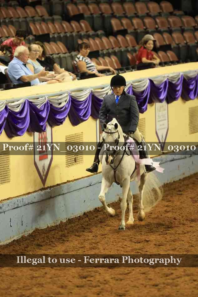 Proof Number 21YN_03010