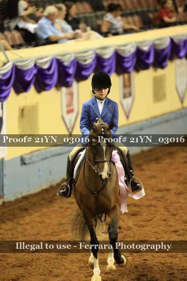 Proof Number 21YN_03016