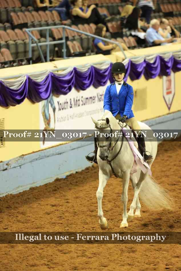 Proof Number 21YN_03017