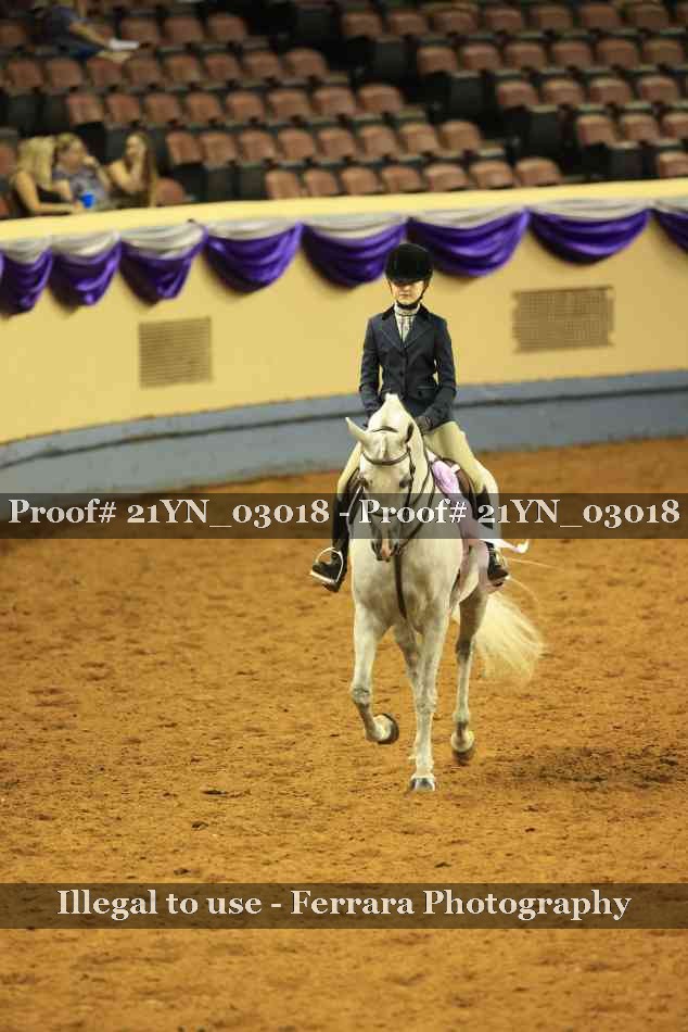 Proof Number 21YN_03018