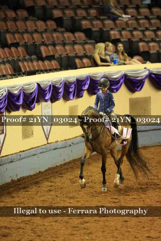 Proof Number 21YN_03024