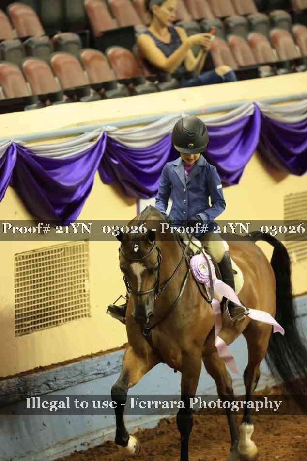 Proof Number 21YN_03026