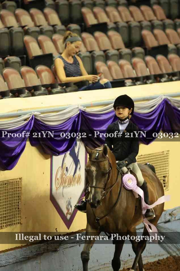 Proof Number 21YN_03032