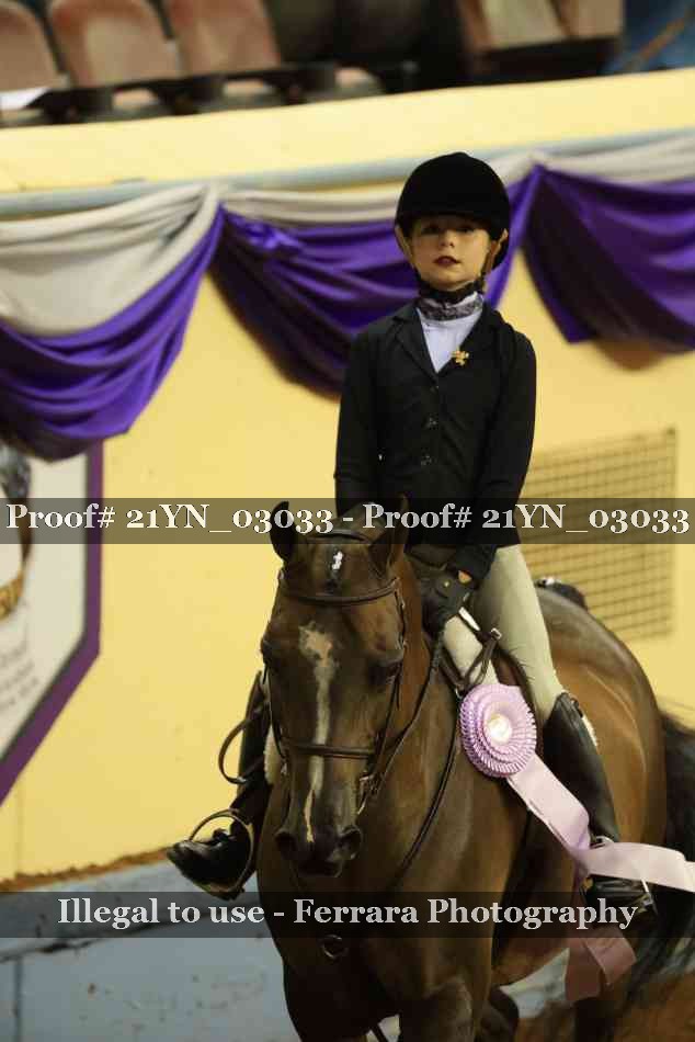 Proof Number 21YN_03033