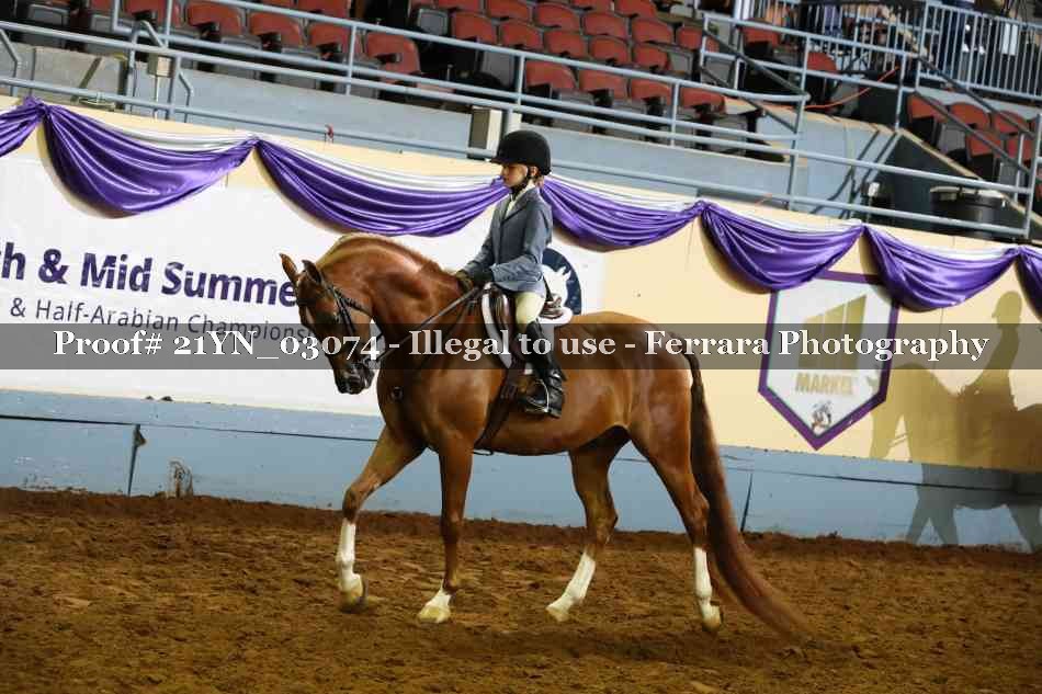 Proof Number 21YN_03074