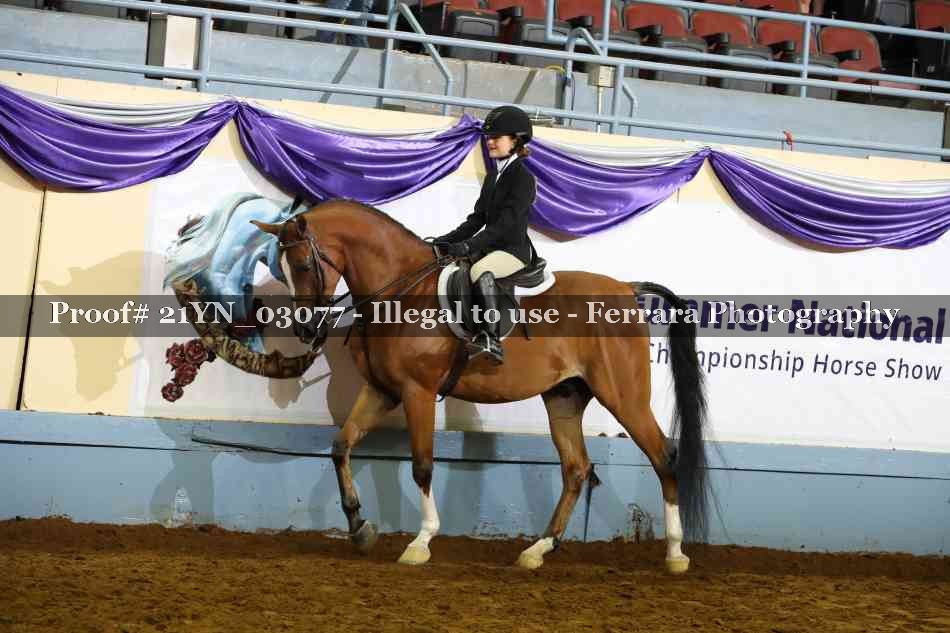 Proof Number 21YN_03077