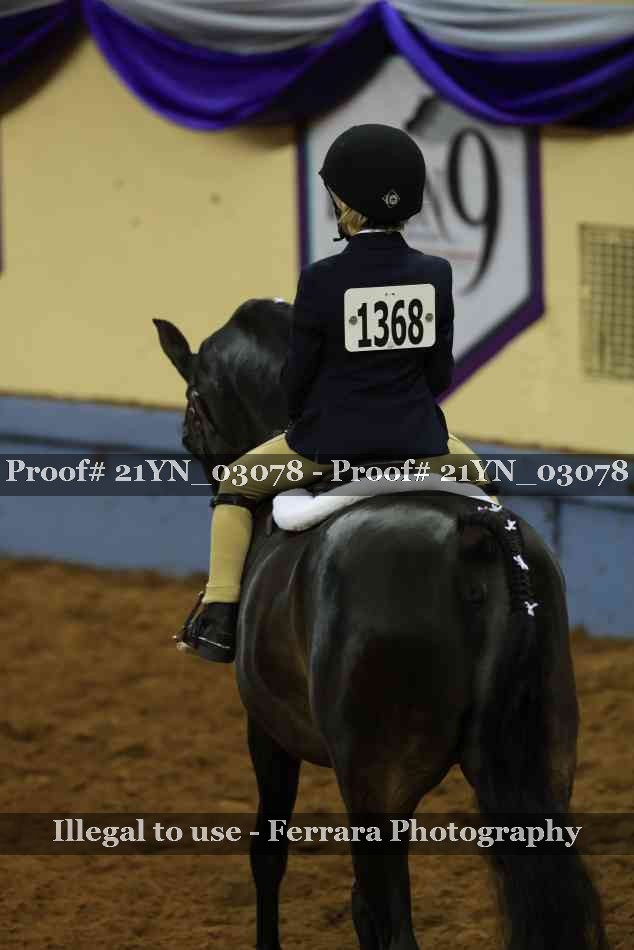 Proof Number 21YN_03078
