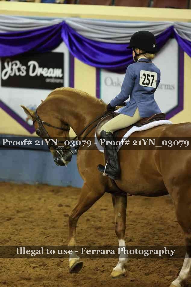 Proof Number 21YN_03079