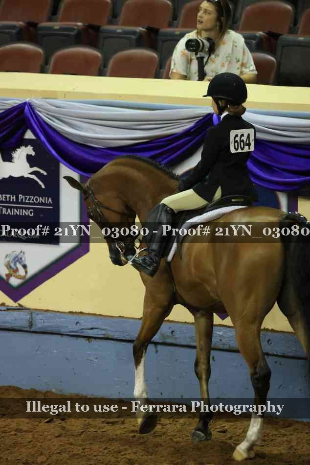 Proof Number 21YN_03080