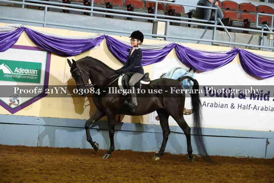 Proof Number 21YN_03084