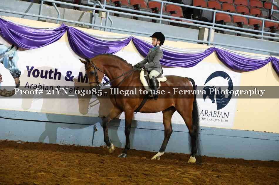 Proof Number 21YN_03085