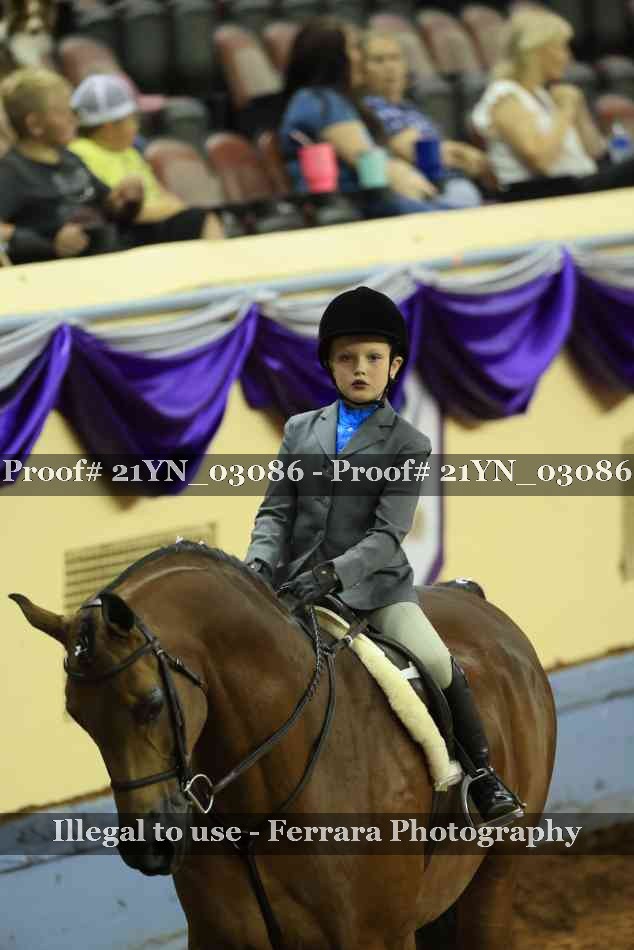 Proof Number 21YN_03086