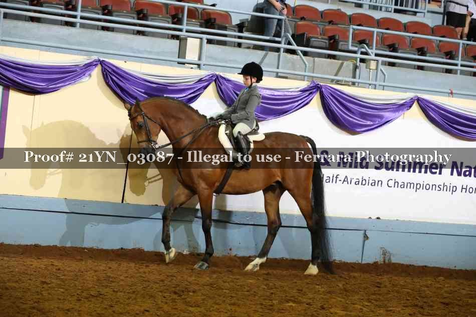 Proof Number 21YN_03087