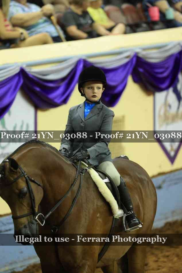 Proof Number 21YN_03088