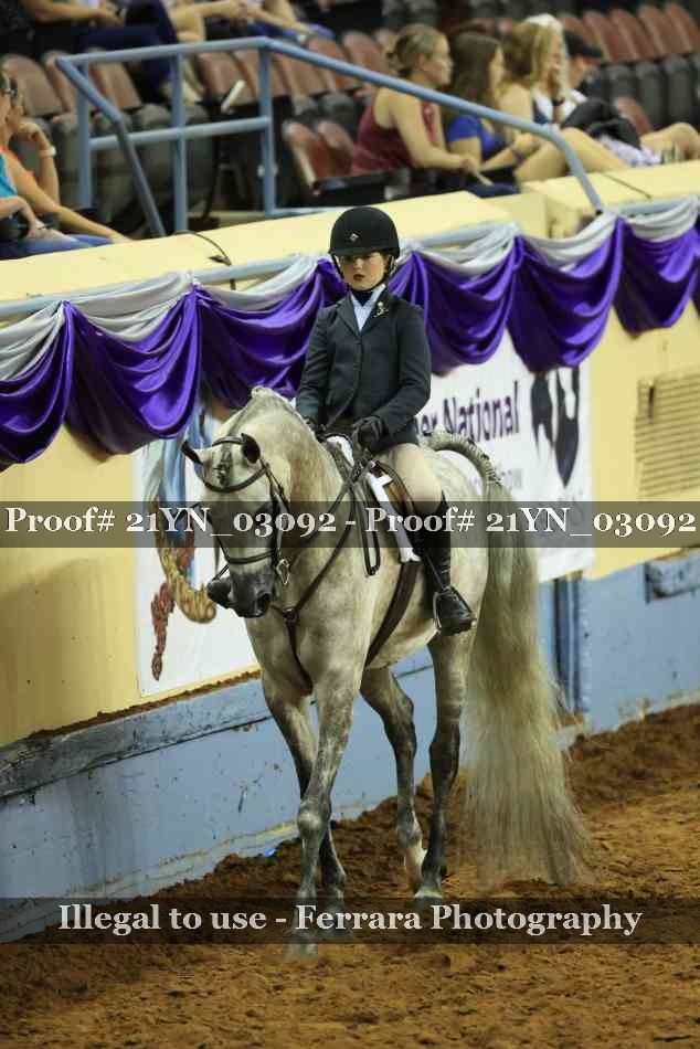 Proof Number 21YN_03092