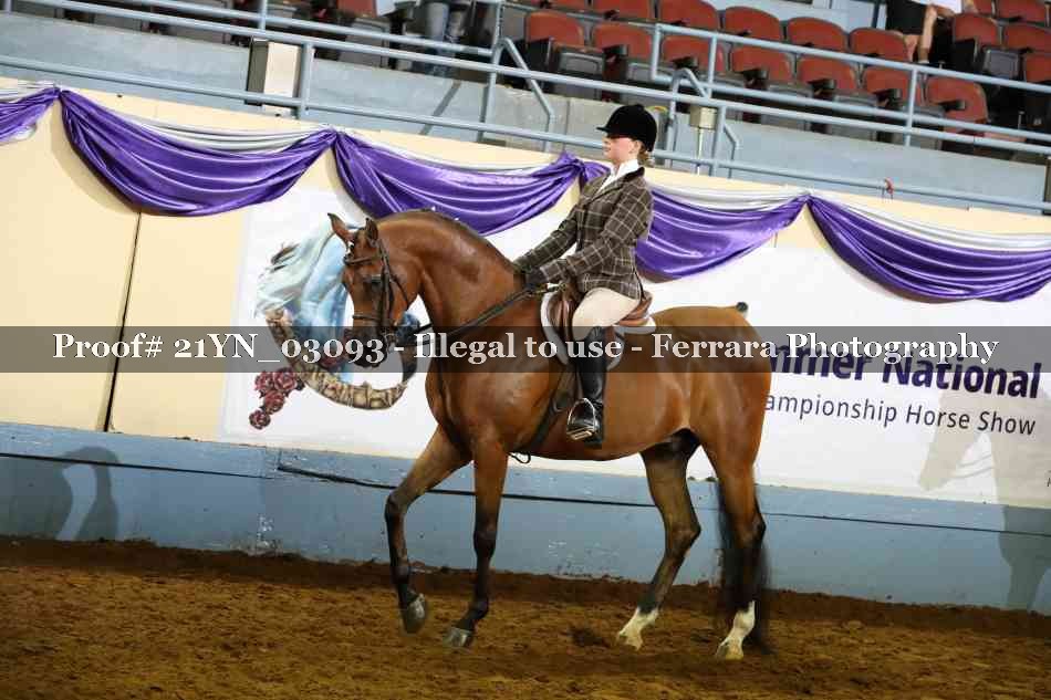 Proof Number 21YN_03093
