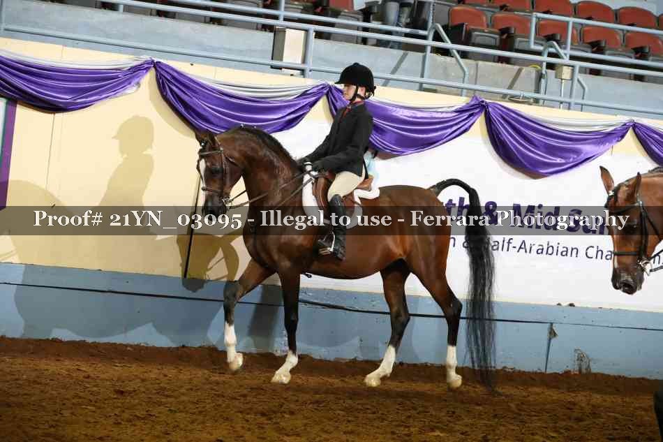 Proof Number 21YN_03095