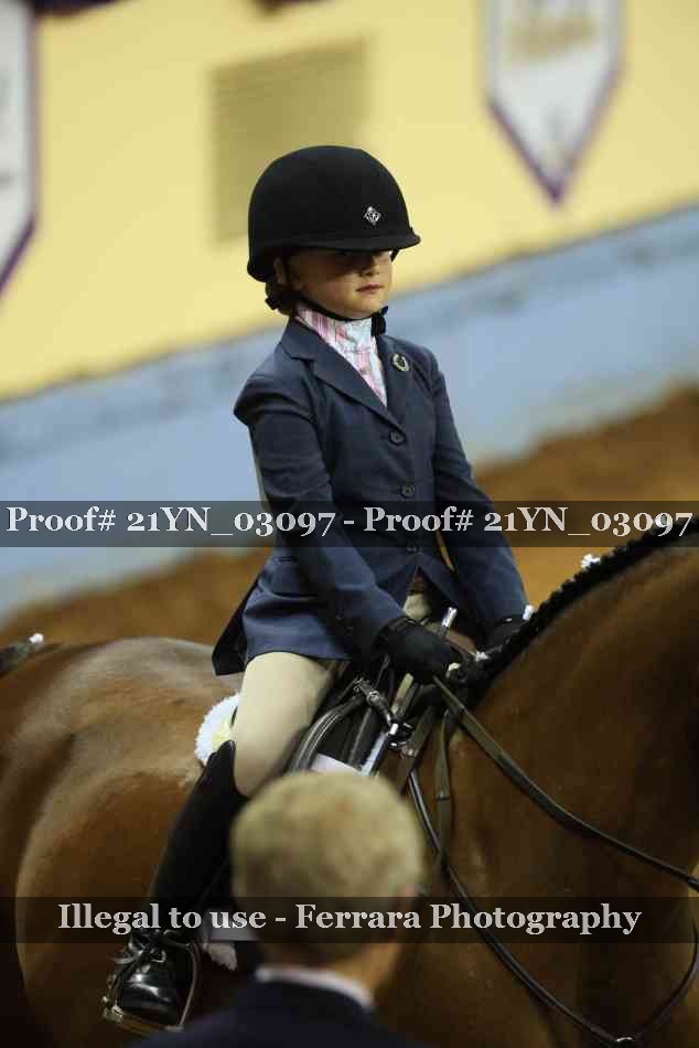 Proof Number 21YN_03097