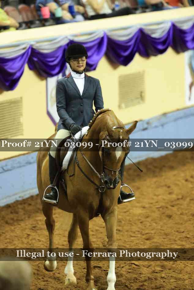 Proof Number 21YN_03099