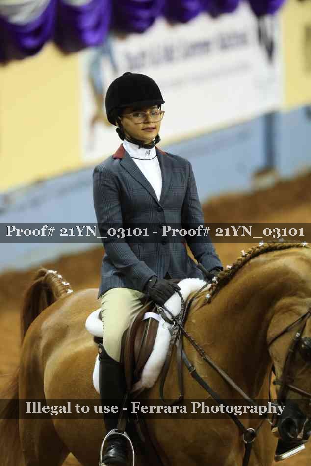 Proof Number 21YN_03101