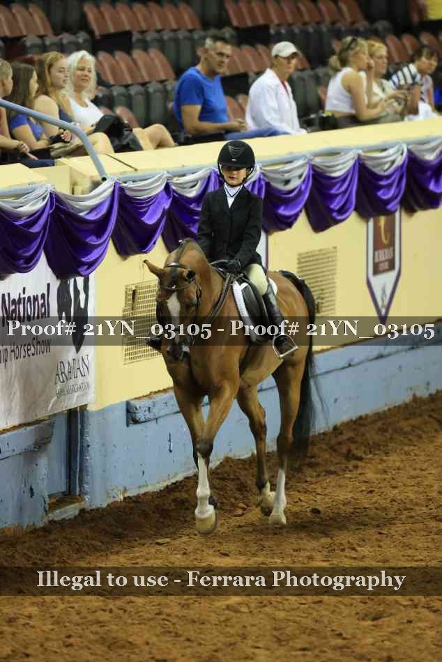 Proof Number 21YN_03105