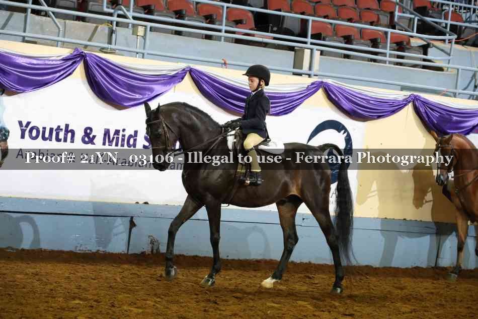 Proof Number 21YN_03106