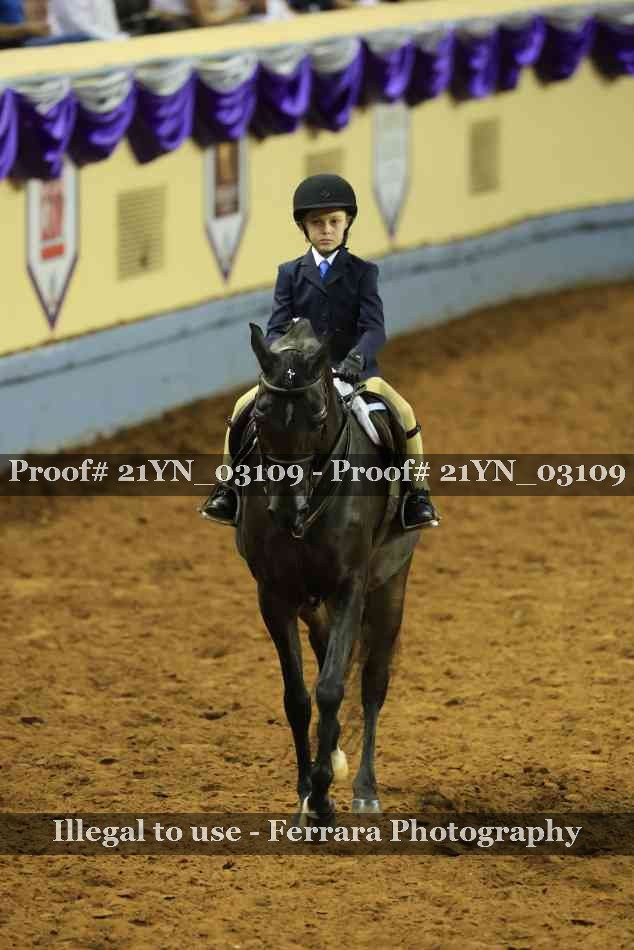 Proof Number 21YN_03109