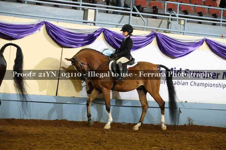 Proof Number 21YN_03110