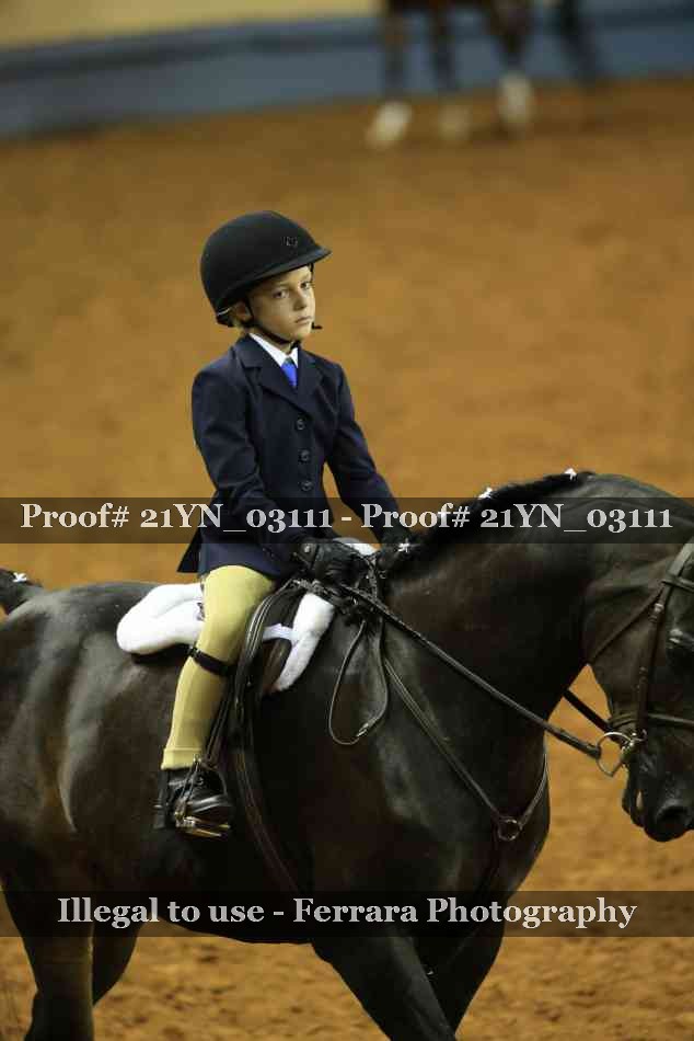 Proof Number 21YN_03111