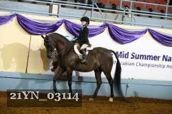 21YN_03114 thumbnail