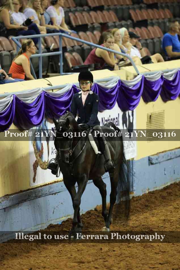 Proof Number 21YN_03116