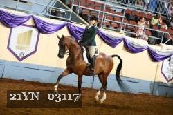 21YN_03117 thumbnail