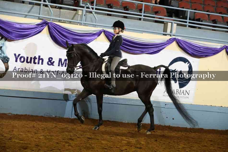 Proof Number 21YN_03120