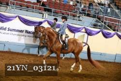 21YN_03121 thumbnail