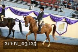 21YN_03125 thumbnail