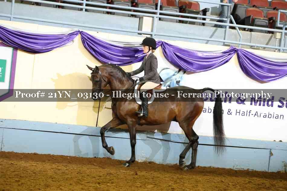 Proof Number 21YN_03130