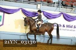 21YN_03130 thumbnail