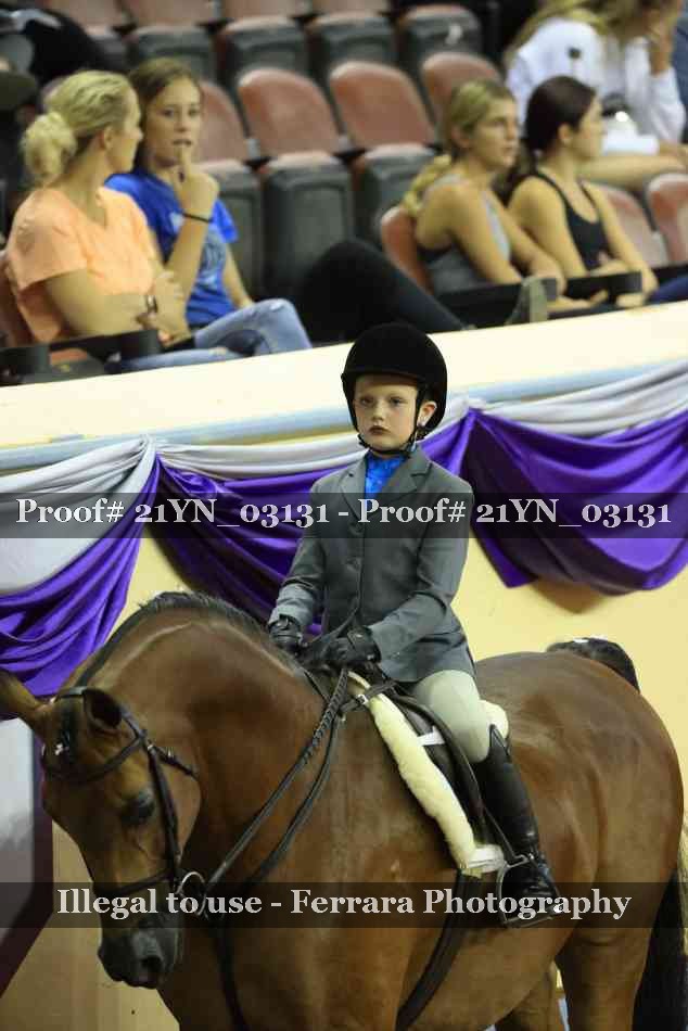 Proof Number 21YN_03131