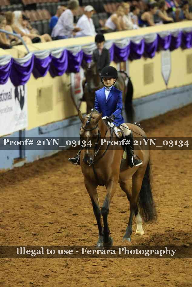 Proof Number 21YN_03134